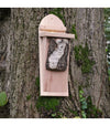 Baum CreeperBox
