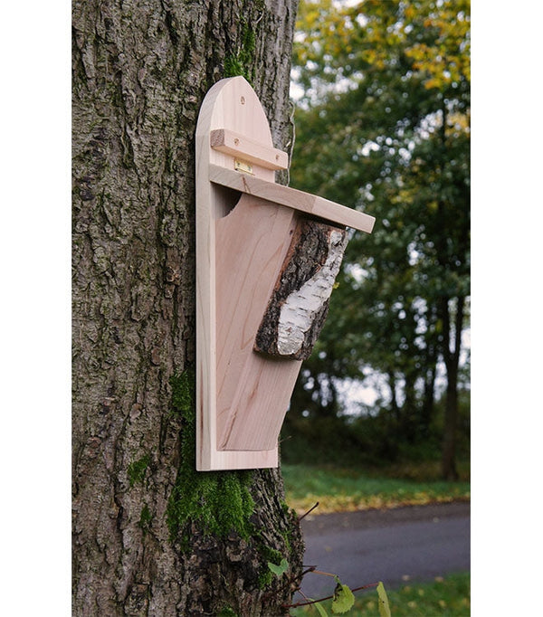 Baum CreeperBox