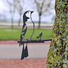 Birdwise - Buchfink