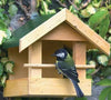 Vogelschutz - Futterhaus Memphis 