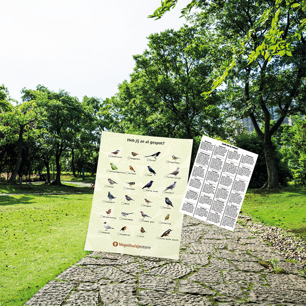 Vogel-Streifen-Poster