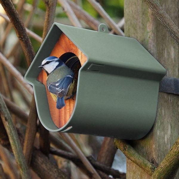 SingingFriend - Erdnussbutterdosenhalter Evie - grün