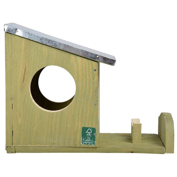 Eichhörnchen-Erdnussbutter-Feeder