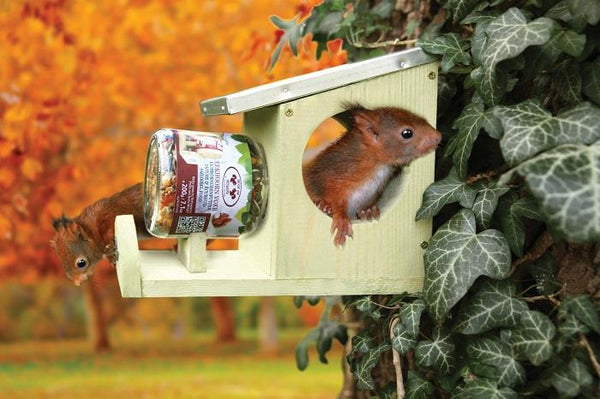 Eichhörnchen-Erdnussbutter-Feeder