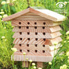 Einsamer Bienenstock