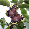DecoButterfly - Trauerumhang
