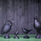Wildlife Garden - Gusseisenskulptur Amsel