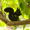 Schattenbild - Essendes Eichhörnchen