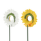 Erdnussbutter-Feeder-Blume