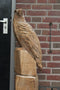 Holzskulptur Adler auf Felsen