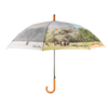 Regenschirm für 4 Jahreszeiten