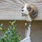 Wildlife Garden - Kleiderhaken Hund