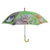 Regenschirm Katzen